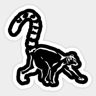 Lemur catta goes forward Sticker